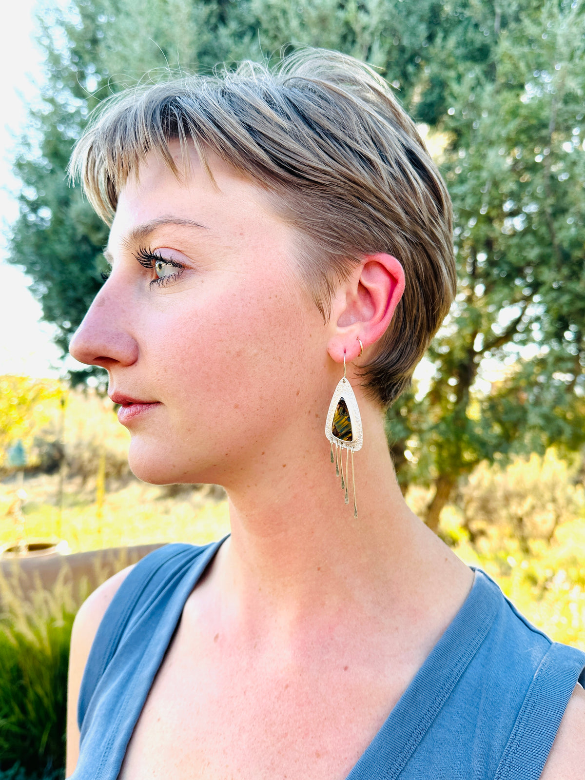 Pietersite Sterling Silver Fringed Earrings