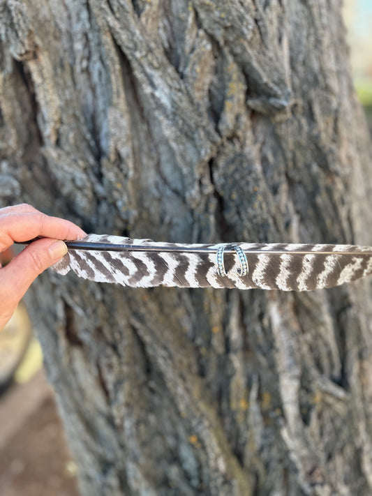 Fused Studded Silver Hoops