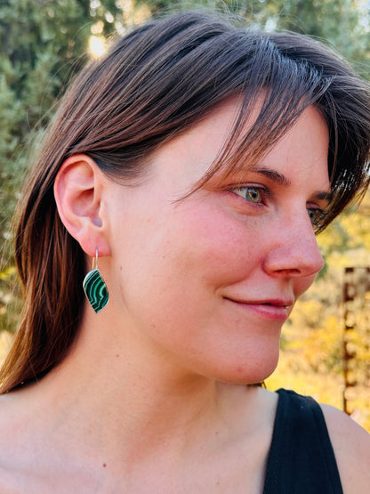 Chrysocolla Malachite Sterling Silver Earrings