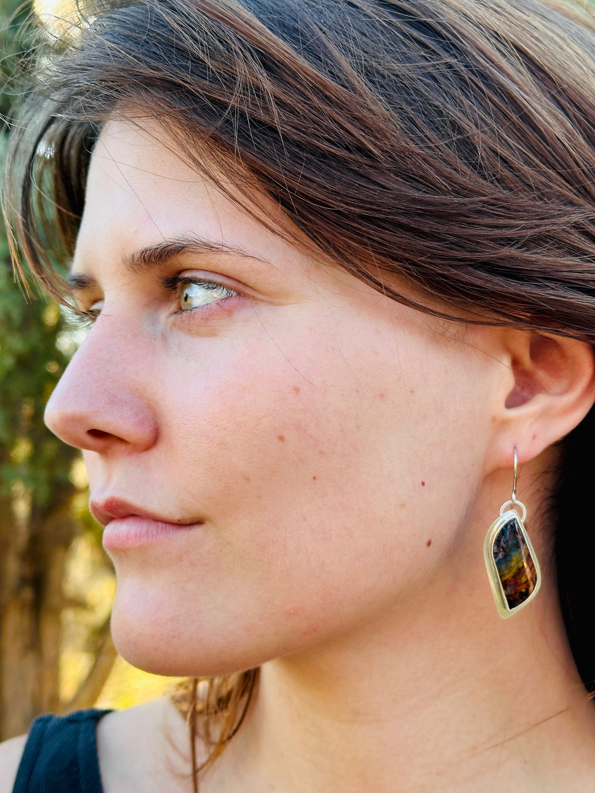 Pietersite and Sterling Silver Earrings
